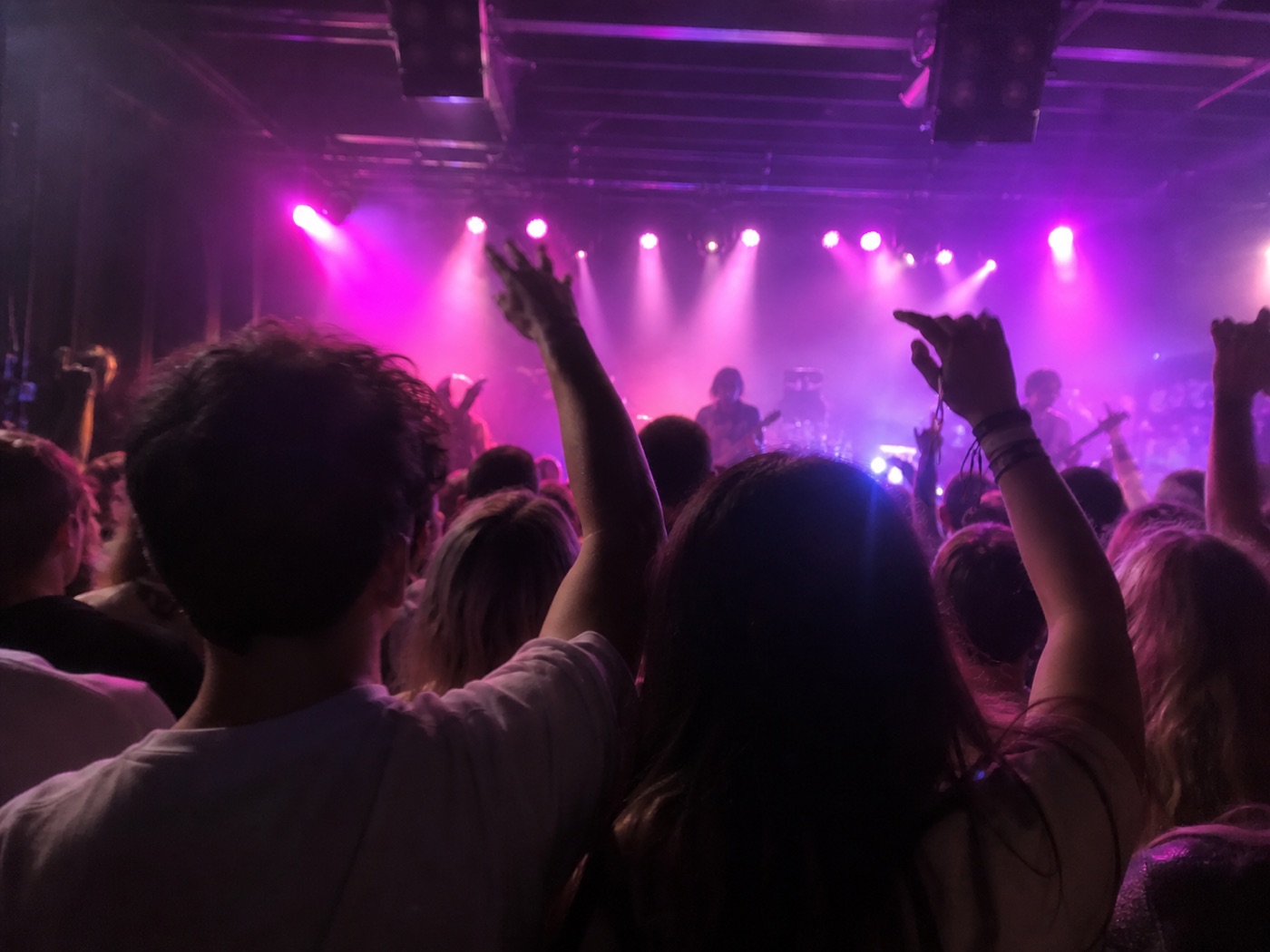 A small concert crowd under purple lights